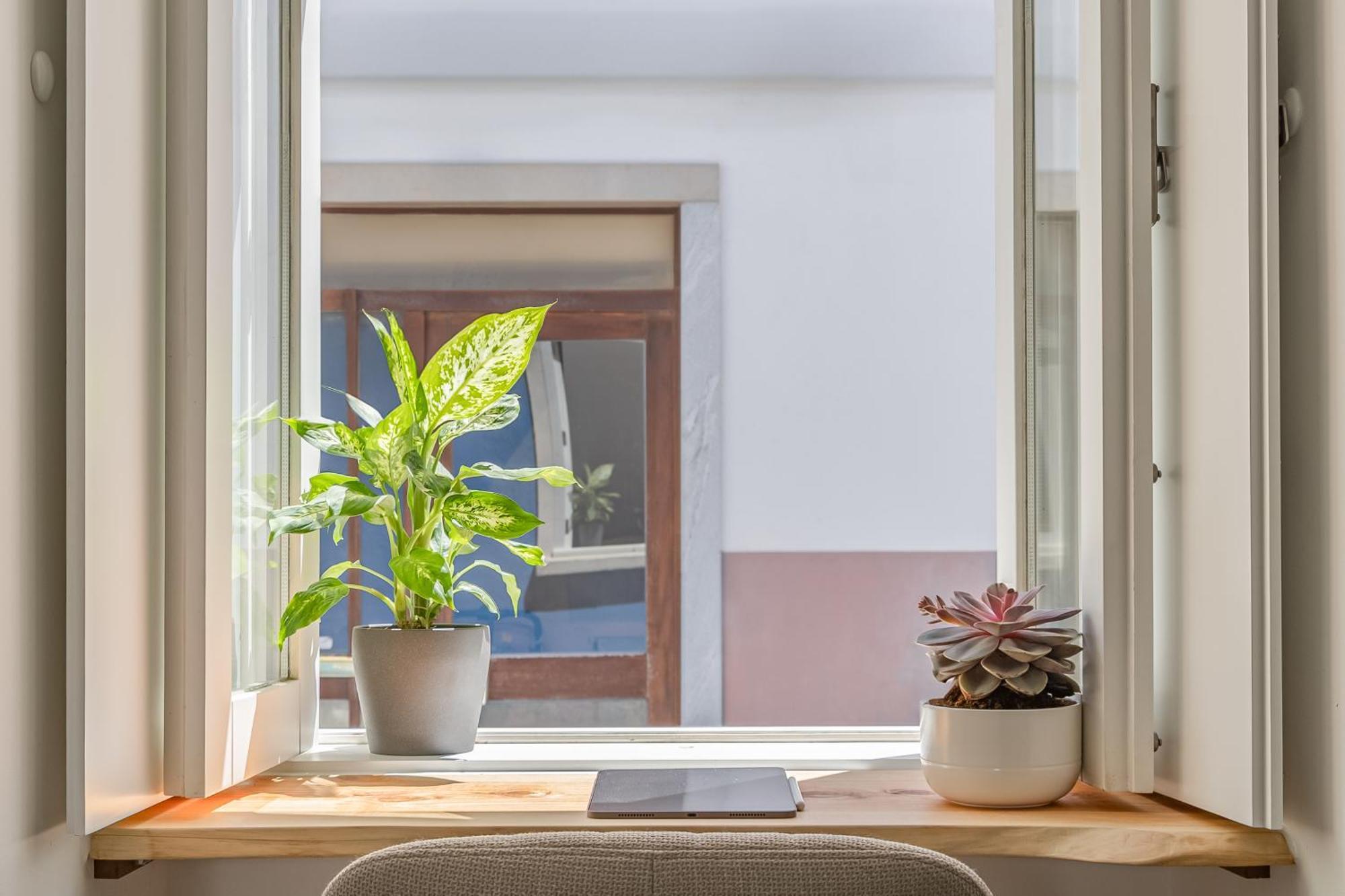 Casa Tamar Διαμέρισμα Λάγος Εξωτερικό φωτογραφία